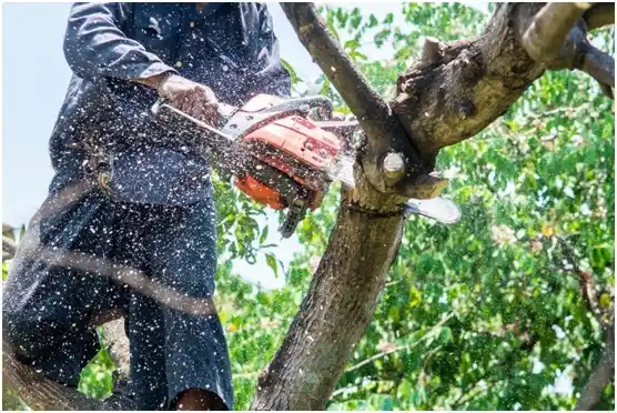 tree services Sunriver